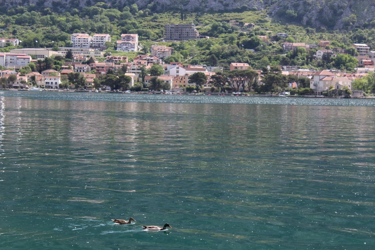 Ferienwohnung Mare E Montagna Kotor Exterior foto